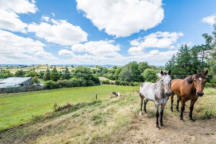 7 Mahood Street Tirau_26