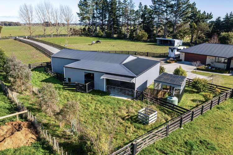 255 Calico Line Marton_38