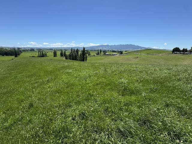 Lot 4 Pokuru Road Rd 3 Te Awamutu_3