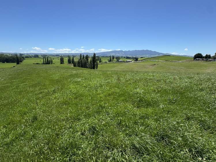 Lot 4 Pokuru Road Rd 3 Te Awamutu_3
