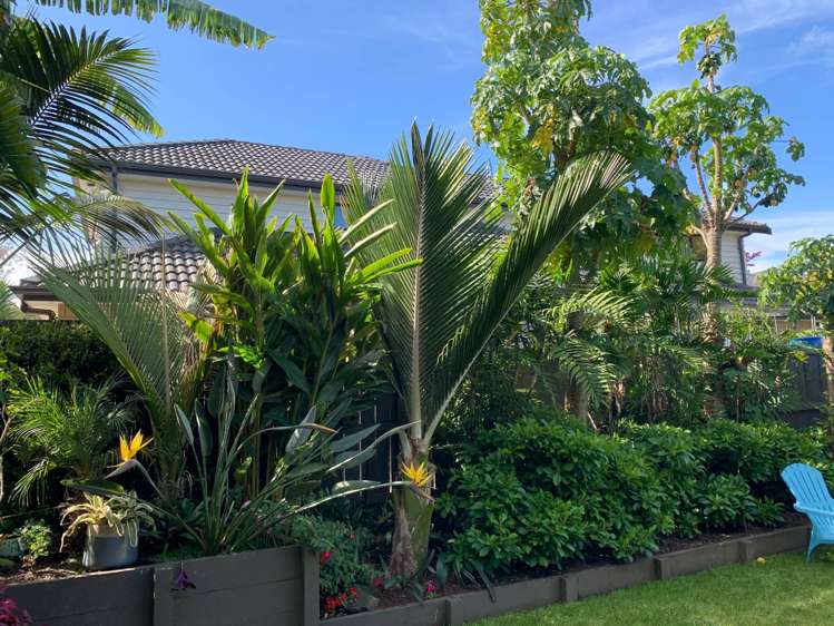 5/155A Grey Street Onehunga_10