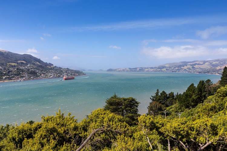 33 Coolock Crescent Waverley_16