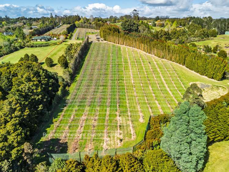 43e Blue Gum Lane Kerikeri_5