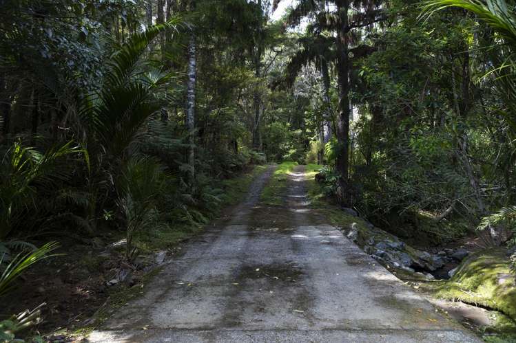 73 Campbell Road Totara North_31