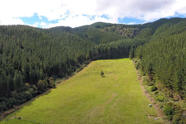 739 Tadmor-Glenhope Road Kahurangi National Park_17