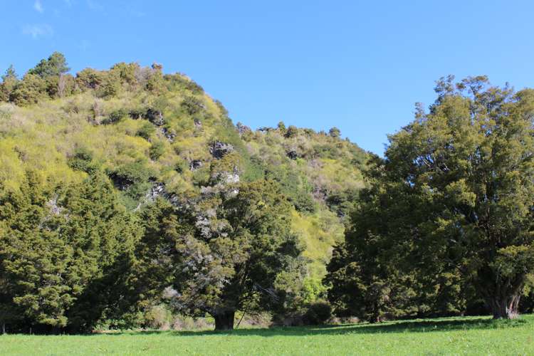 368 Hamama Road Takaka_9