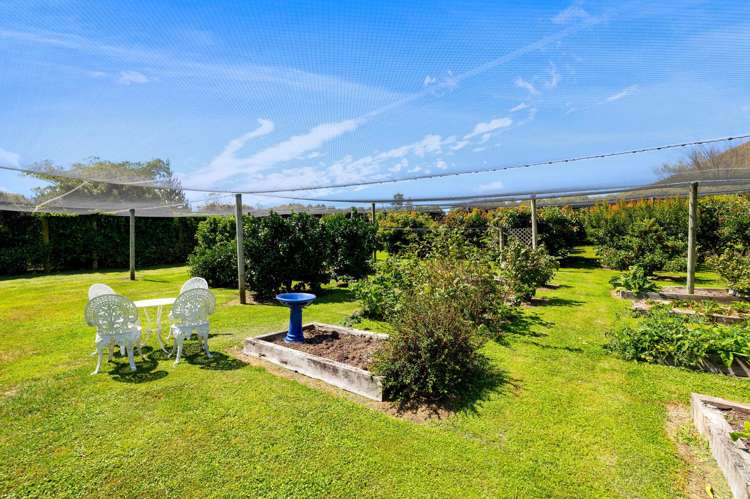 77c Dorset Road Hillsborough_23