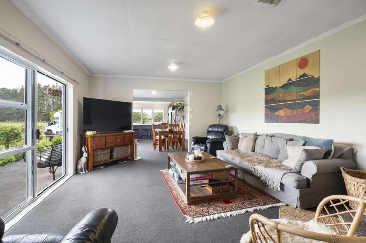 Santoft Road Bulls_15