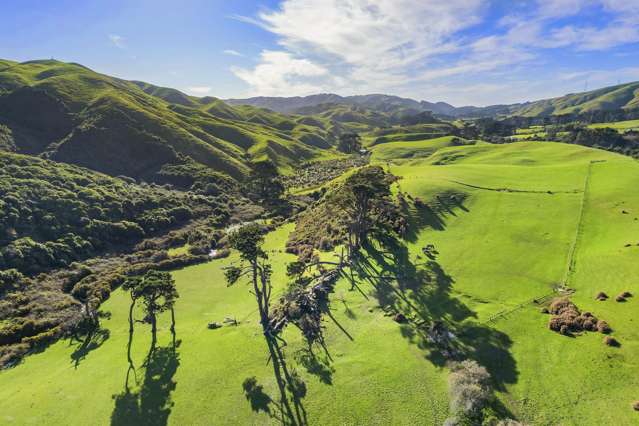 20 HECTARES WITH SUBDIVISION POTENTIAL!