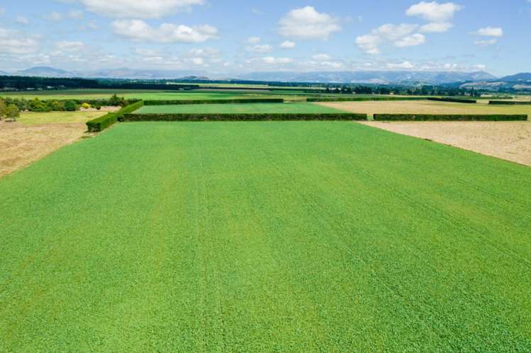 86 Welchs Road Oxford_6