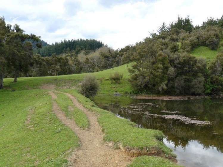 1098 Glenross Road Waiwhare_7