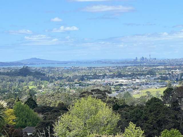 1 Puketaha Road Swanson_1