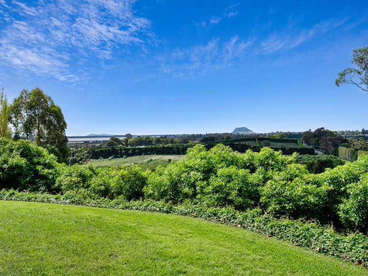 14c Crawford Road Wairoa_11