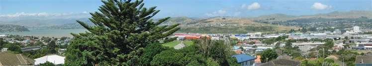 73a Kotuku Street Elsdon_20