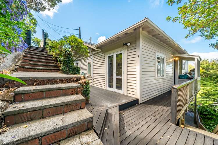 9 Mckenzie Terrace Te Aro_23