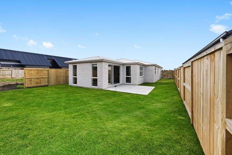 21 Halo Green Peacocke_12