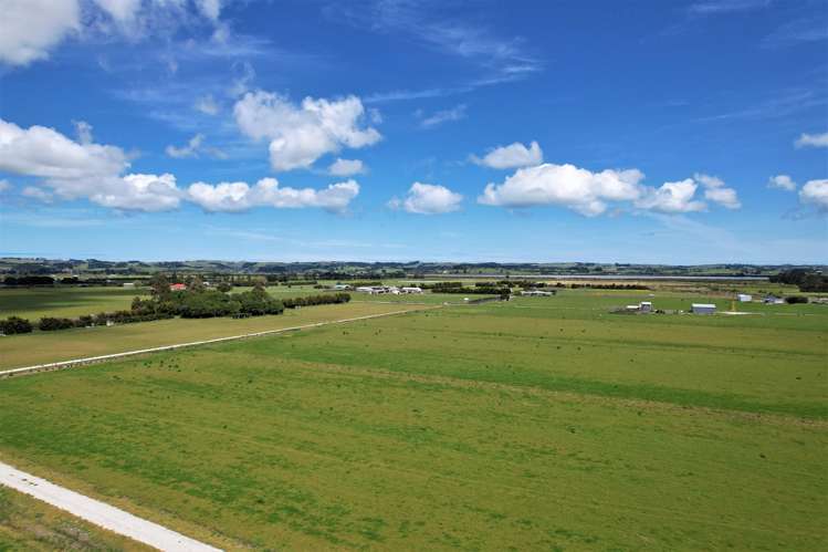 Tramline Road Ruawai_3