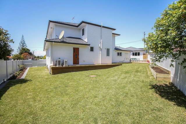 155 Astley Avenue New Lynn_2