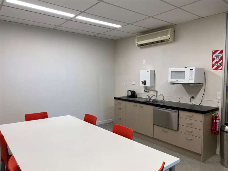 Ground Floor 450 Anglesea Street Hamilton Central_3