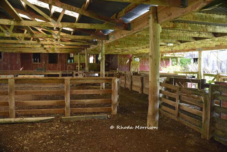 726 Paparoa Station Road Maungaturoto_77