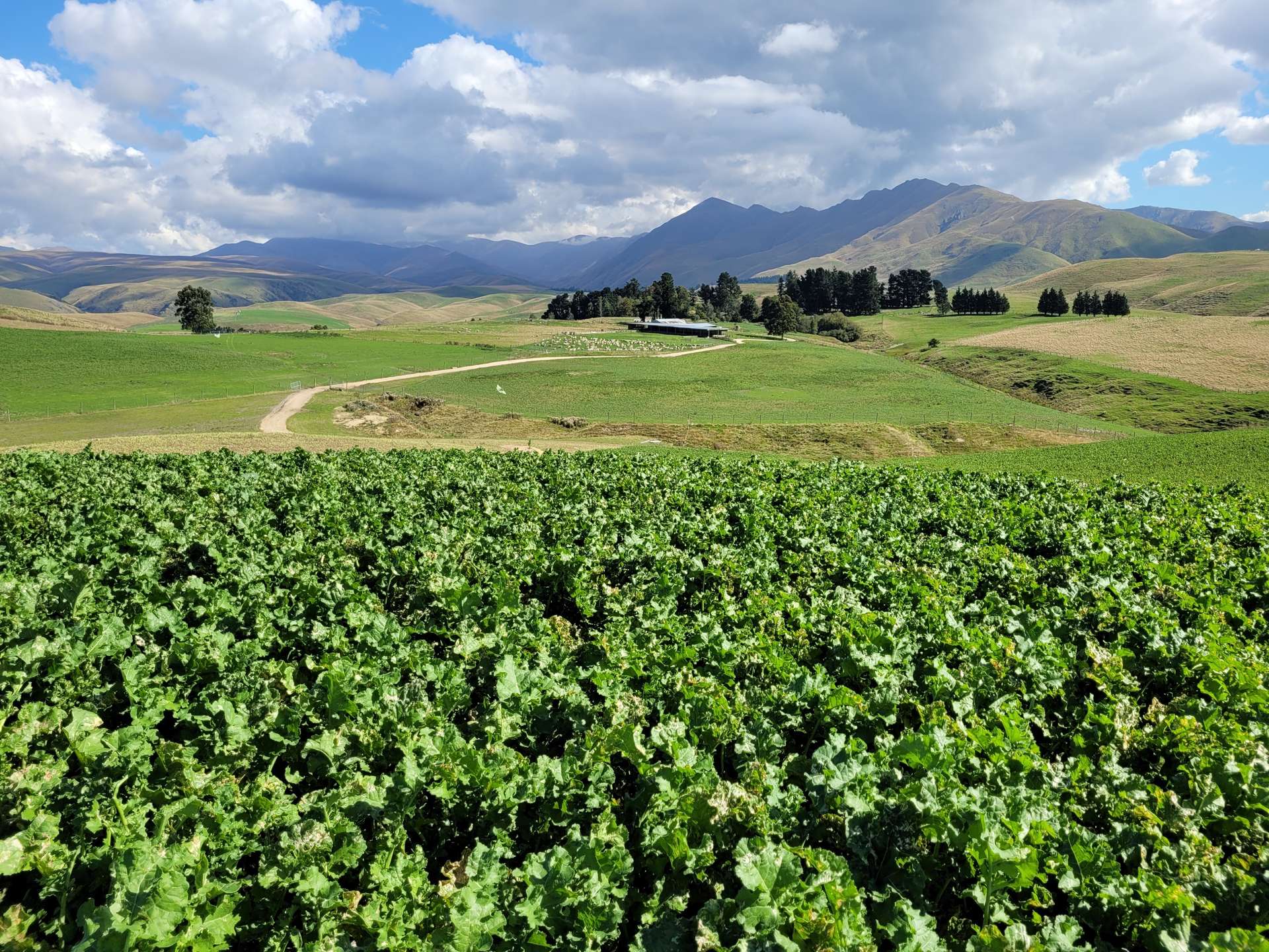 72 Wrights Road Waitaki_0