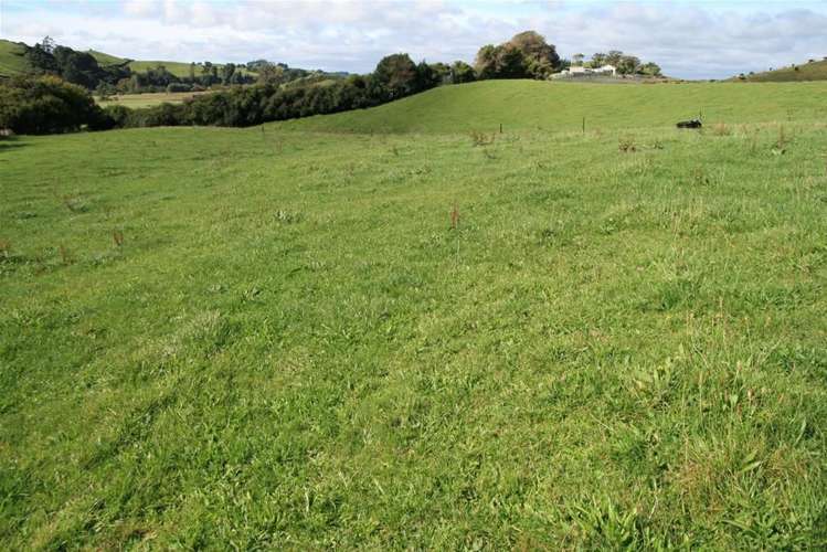 185 Bristol Road Pareora_8