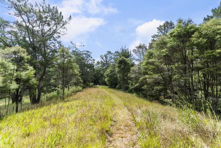 126 Candia Road Henderson Valley_24