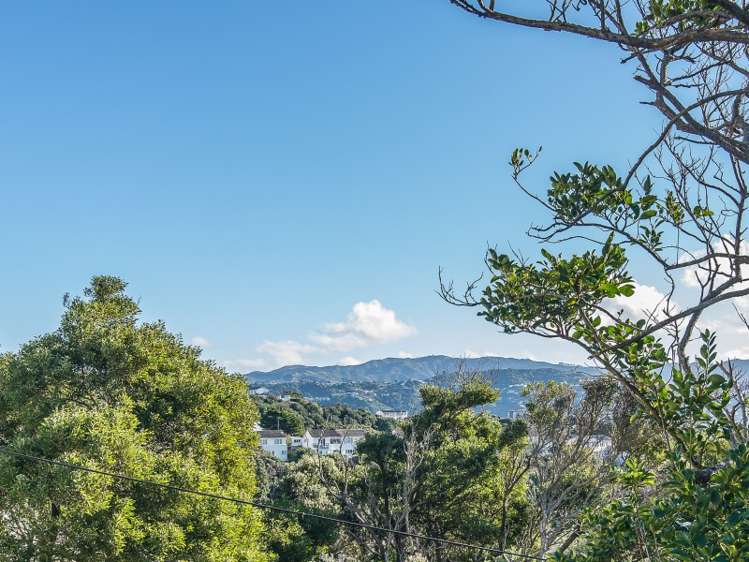 22 Tannadyce Street Strathmore Park_14