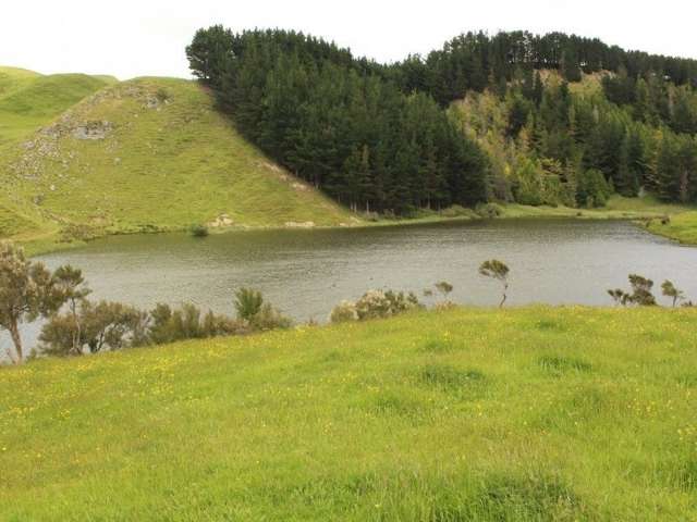 945 Waitahora Road Dannevirke_2