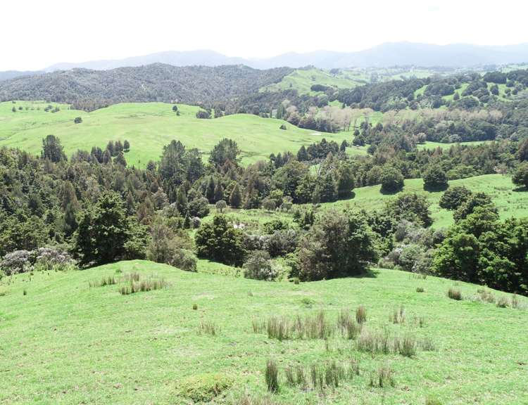 Irvine Road Ruatangata_3