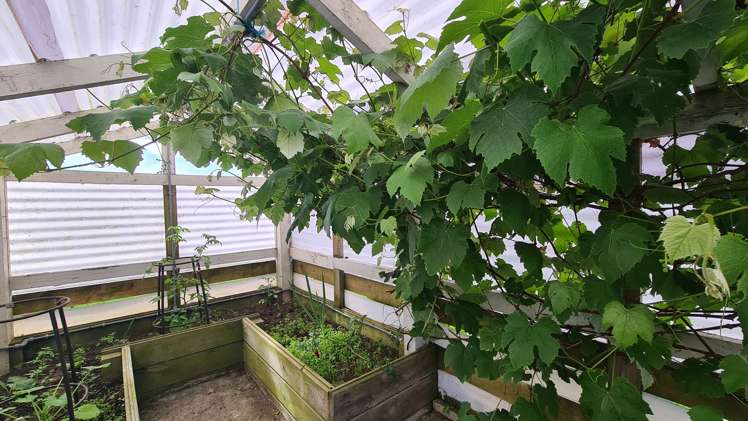 3636 South Road Opunake_23