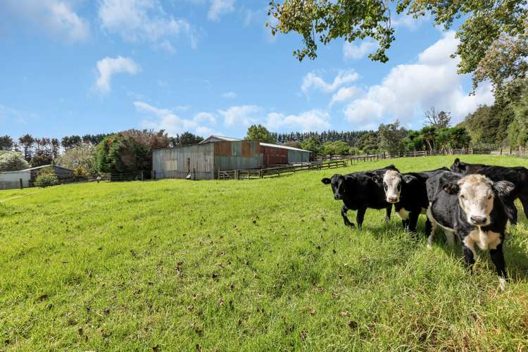 410a Whatitiri Road Poroti_19