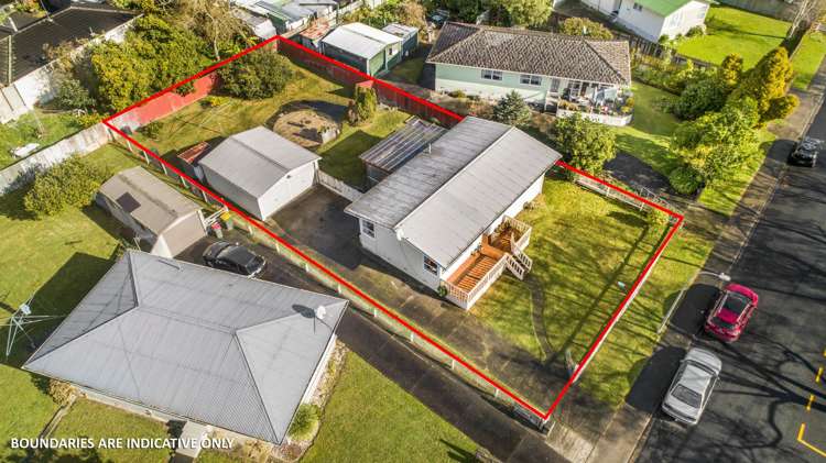 12 Jupiter Street Rosehill_14