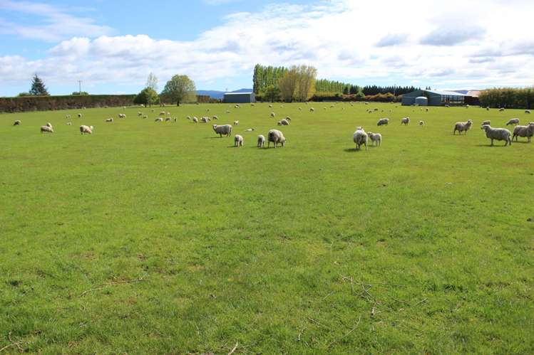 282 Mckenzie Road Browns_9