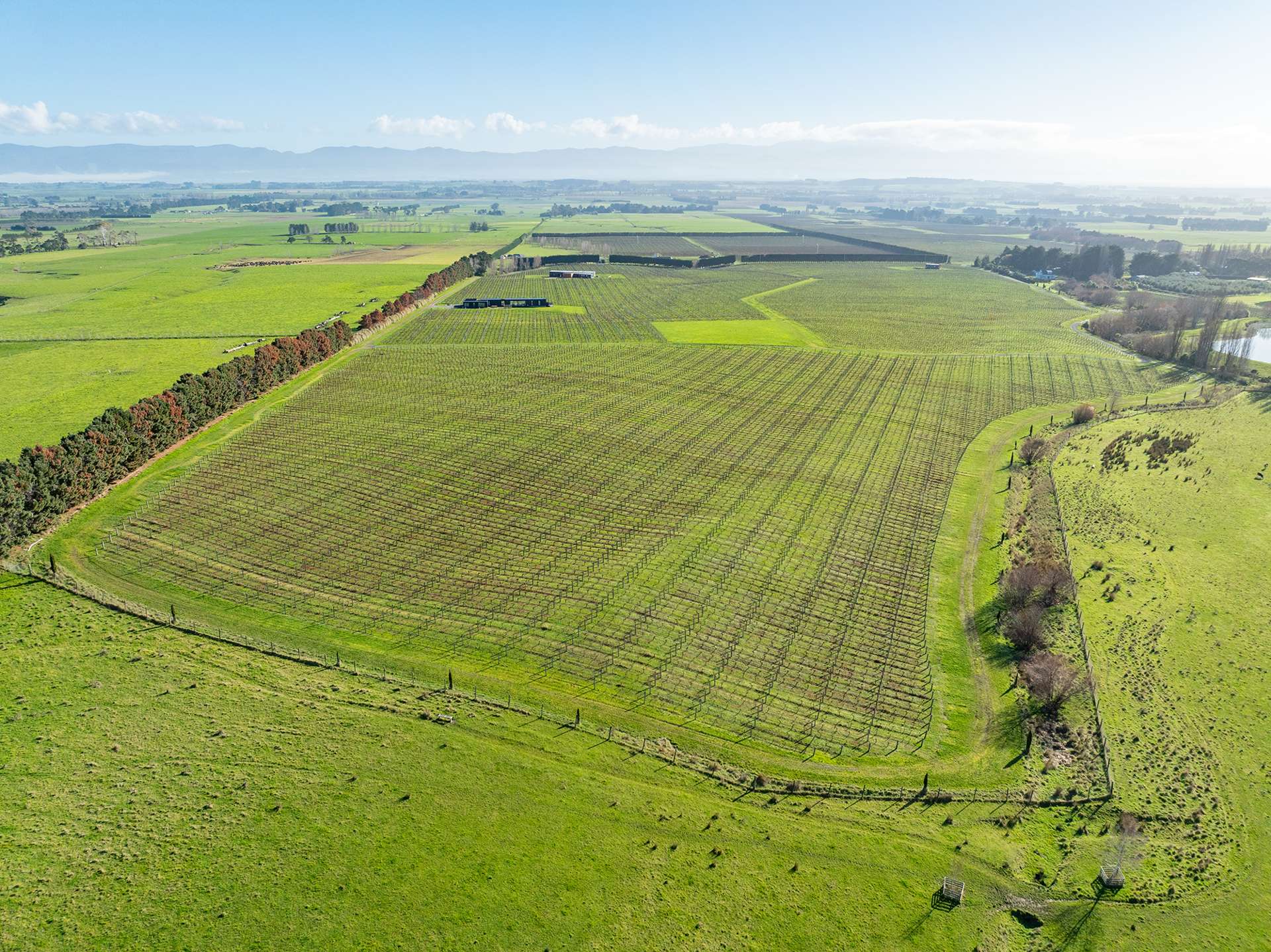 Lot 2 Vineyard Lane Martinborough_0