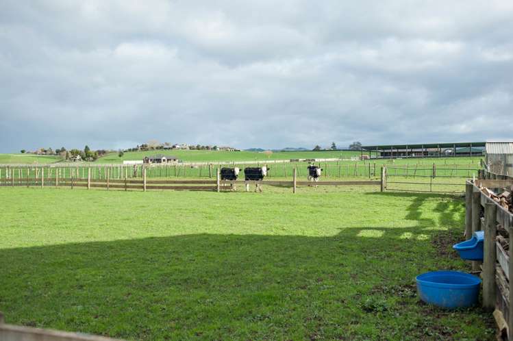 15 Morgan Road Te Awamutu_11