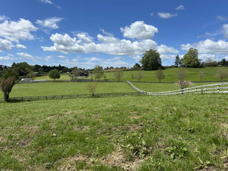 386 Waikeria Road Te Awamutu_6