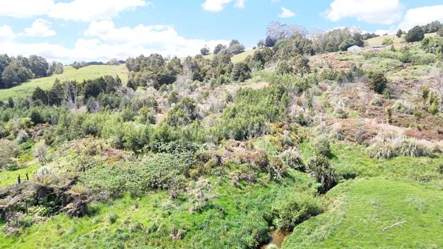 272 Waikuku Road Waimate North_1
