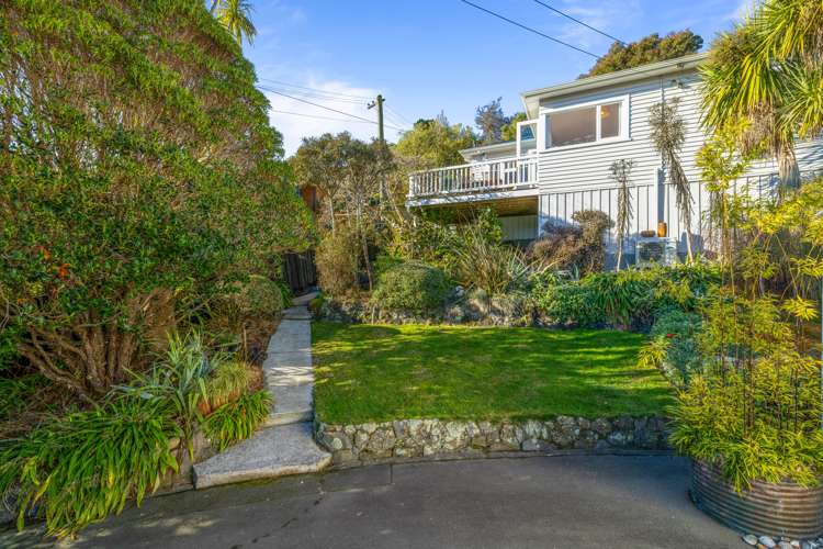 51 Vernon Terrace Hillsborough_22