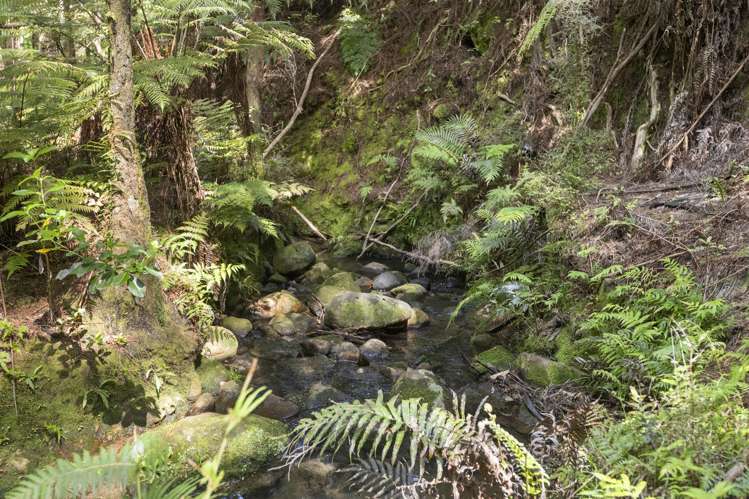 61 Spikes Way Whitianga_18