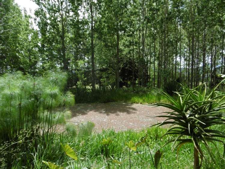 697 Tangihua Road Maungakaramea_11