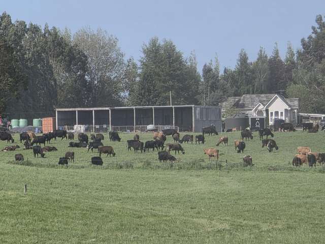 141 Mataura Island Titiroa Road Mataura Island_4