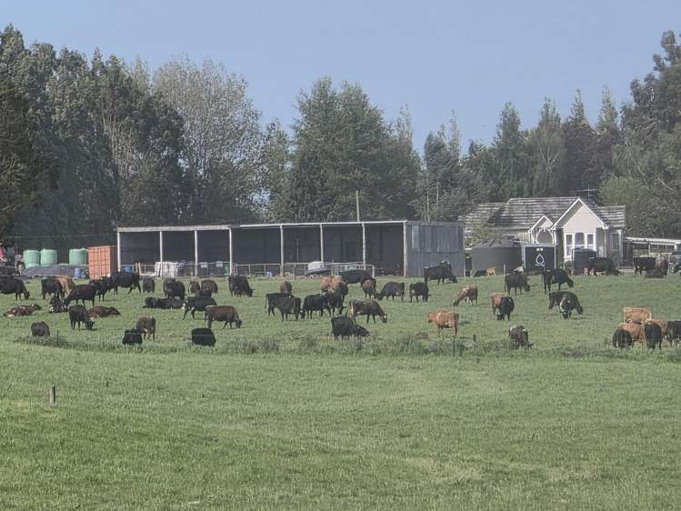 141 Mataura Island Titiroa Road Mataura Island_4