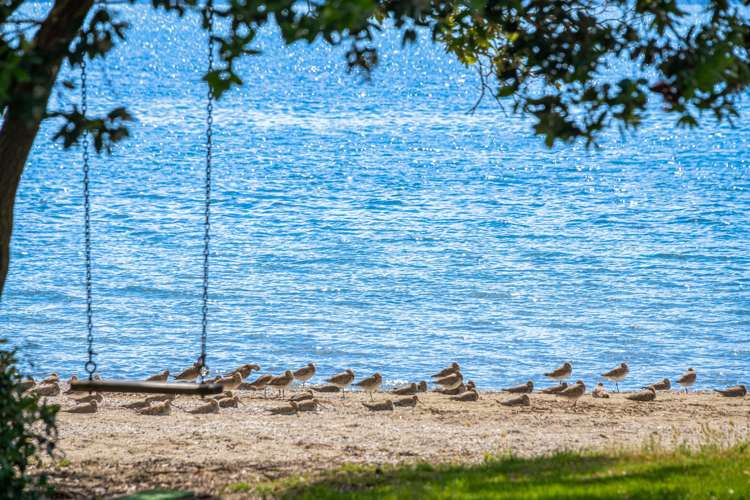 27 Schooner Avenue Snells Beach_32