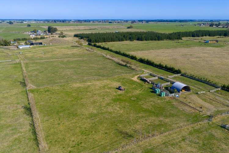 163 Downs Road Himatangi_14