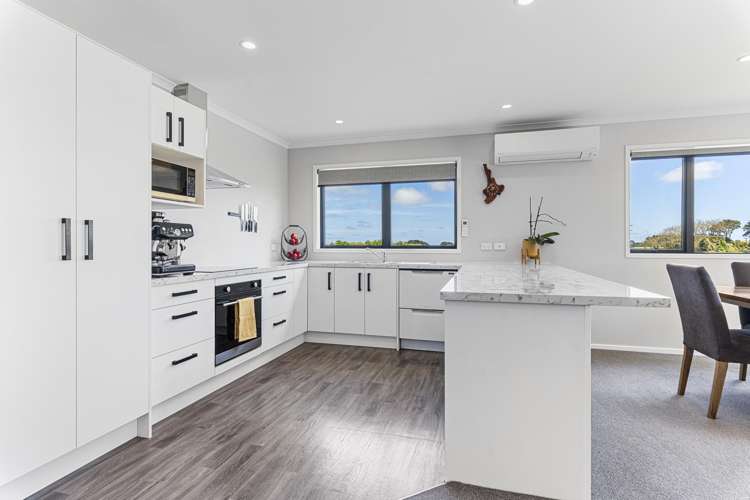 205 Mid Puniho Road_5