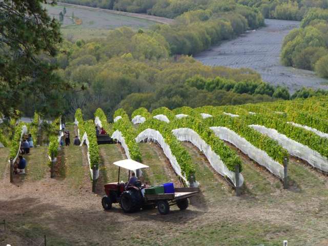 208 Pukeora Scenic Road Waipukurau and Surrounds_1