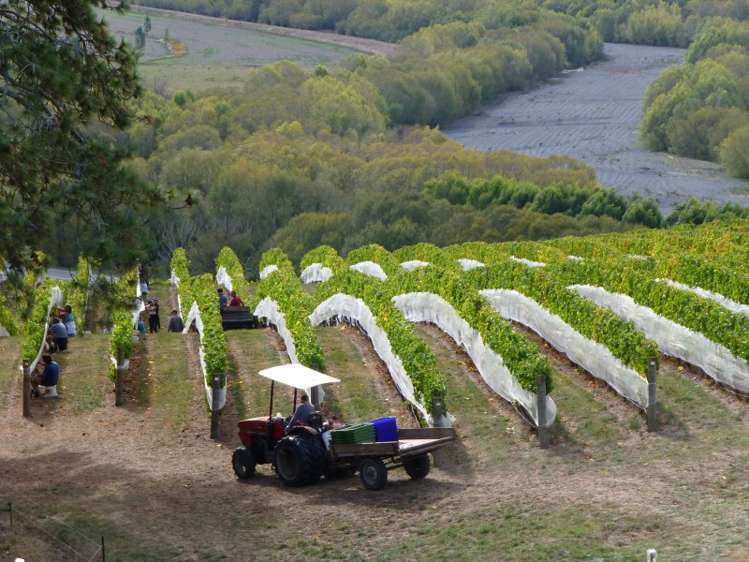 208 Pukeora Scenic Road Waipukurau and Surrounds_1