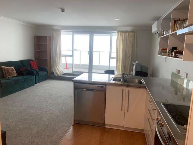 3/391 Victoria Street Callum Brae_1