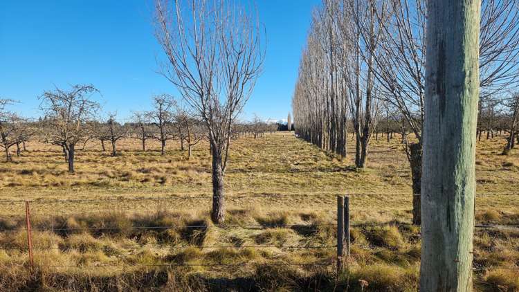 831 Downs Road West Eyreton_11